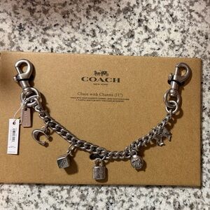 Coach Metallic Bag Charm